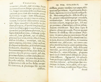 Image of text in Latin