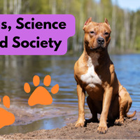 Thumbnail preview for next page