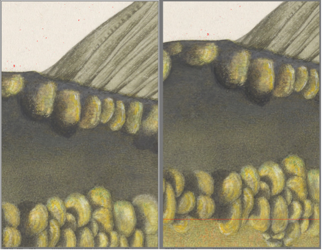 Yellow, green and black coloring of a zoomed in view of the top of the fishes, including a partial fin view, skin texture and scales in the illustrated painting. The left window in the screenshot has the fish positioned slightly lower than the right. The right view shows more detail in the darkest darks. The detail is most visible around two scales near the top of the fish.