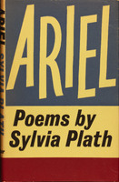 Front dust cover of book in red, white, and blue colors.