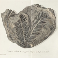 Thumbnail preview for next page