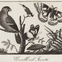 Thumbnail preview for next page