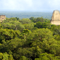 Thumbnail preview for next page